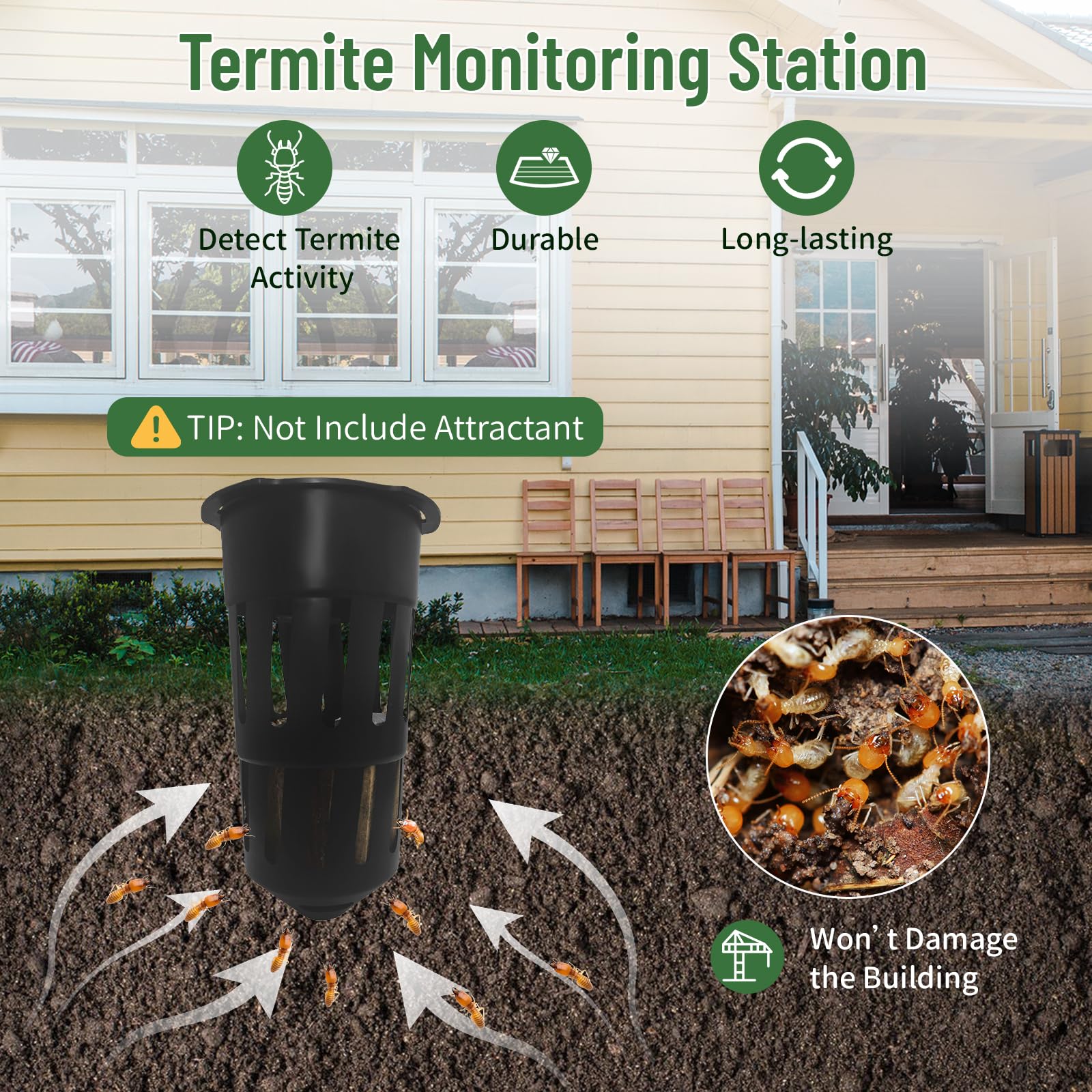 Pestoptek assembled station close-up demonstrating easy setup and discreet monitoring