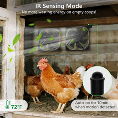 Pet Deluxe fan grill detail, durable build improves weather resistance