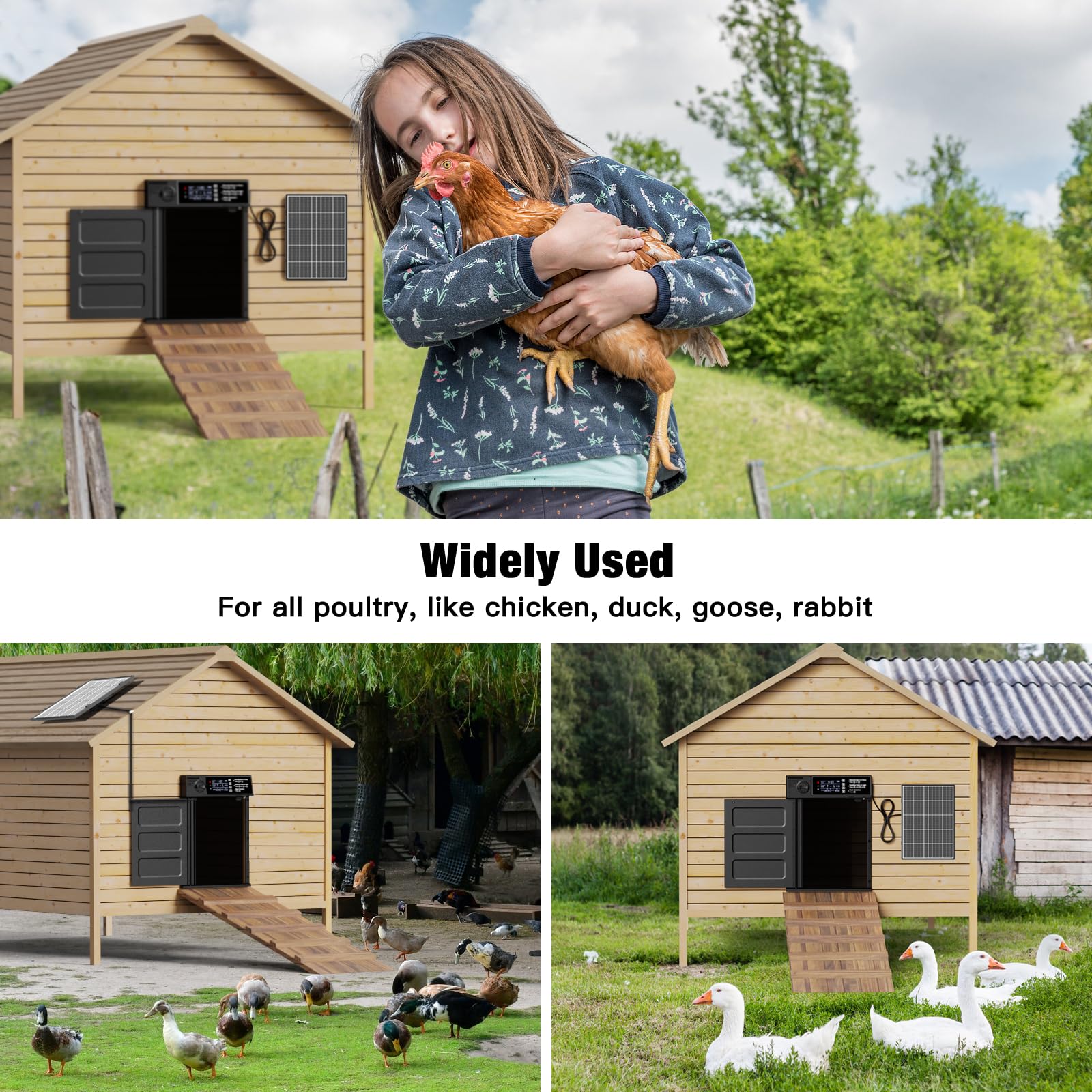 Pet Deluxe weatherproof materials and label showing rugged all-weather reliability