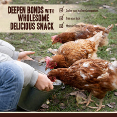 Pet Faves chickens eating mealworms demonstrating protein-rich treat benefit