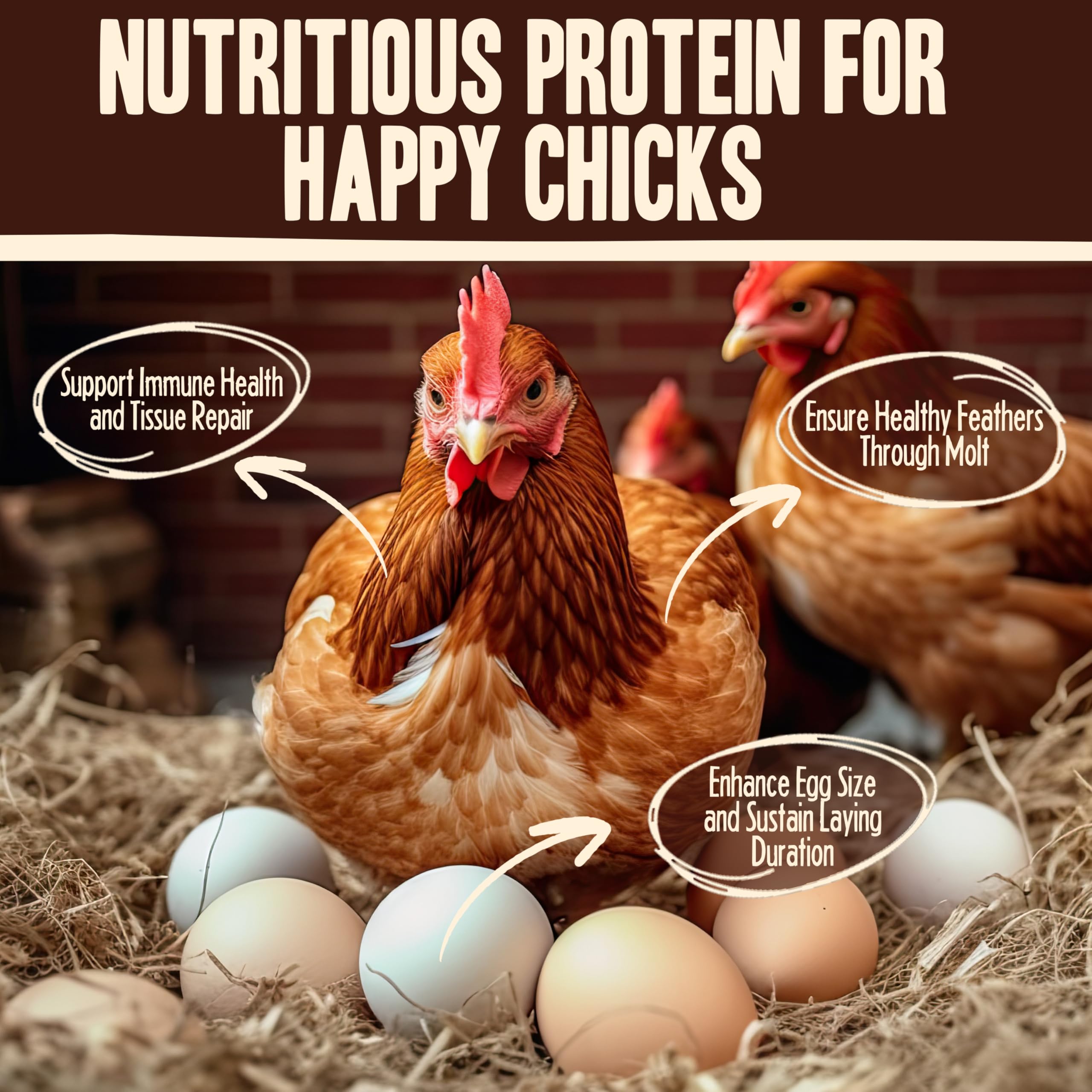 Pet Faves close-up of dried mealworms highlighting crunchy texture benefit