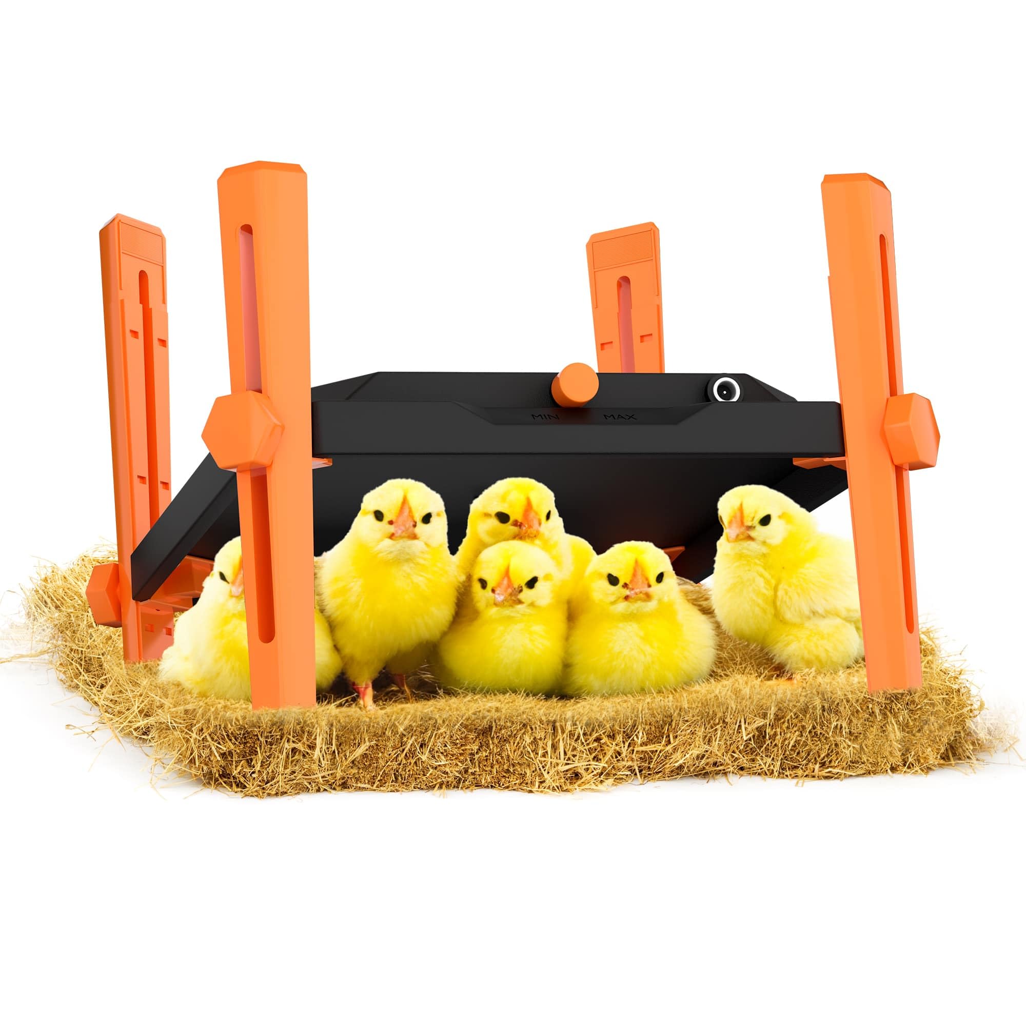 Pet & Livestock HQ brooder plate front view showing compact heated surface and safe housing for chicks