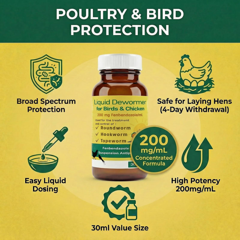 Petcci liquid texture close-up illustrating concentrated formula for accurate dosing