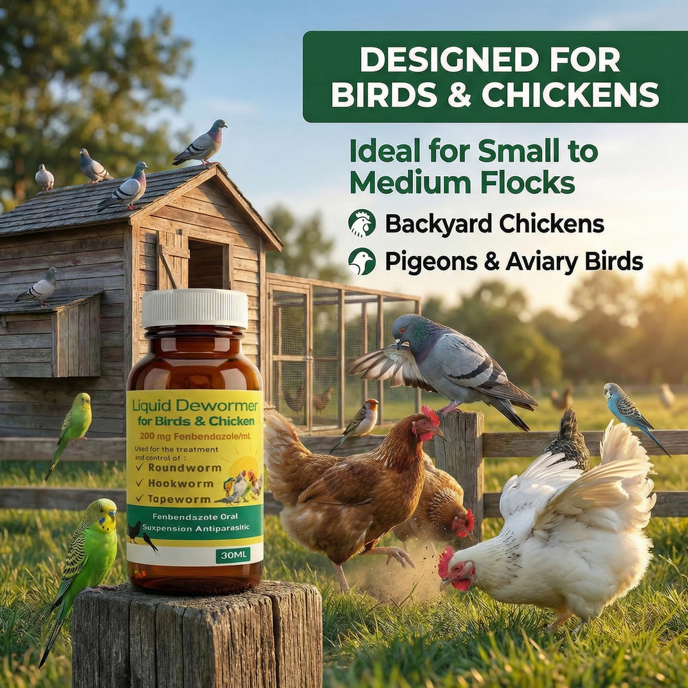Petcci bottle in an aviary demonstrating use for pet birds and lofts