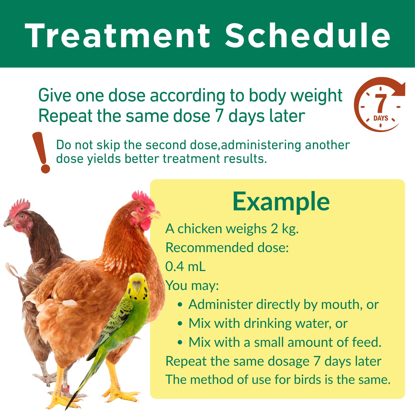 Petcci mixed into a poultry drinker showing easy flock-wide treatment preparation
