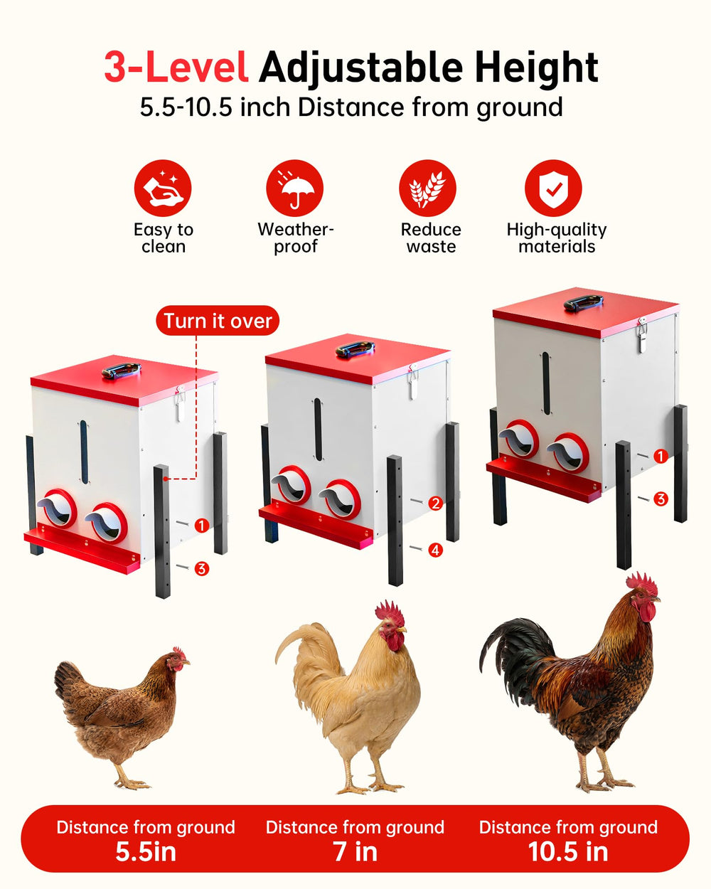 PETDOTT chickens eating from feeder demonstrating reduced crowding