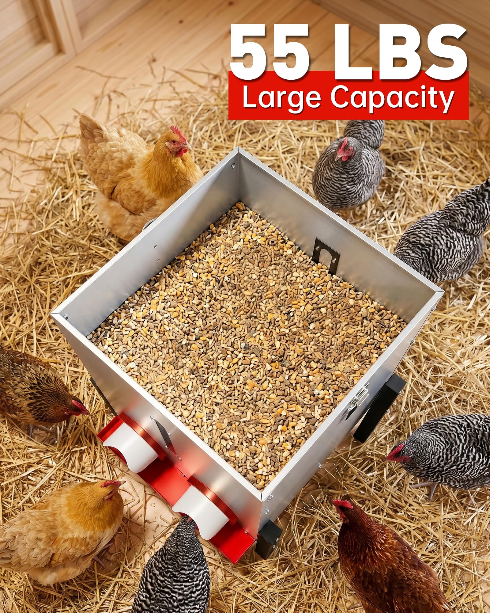 PETDOTT close-up of four feeding ports enabling multiple birds to eat