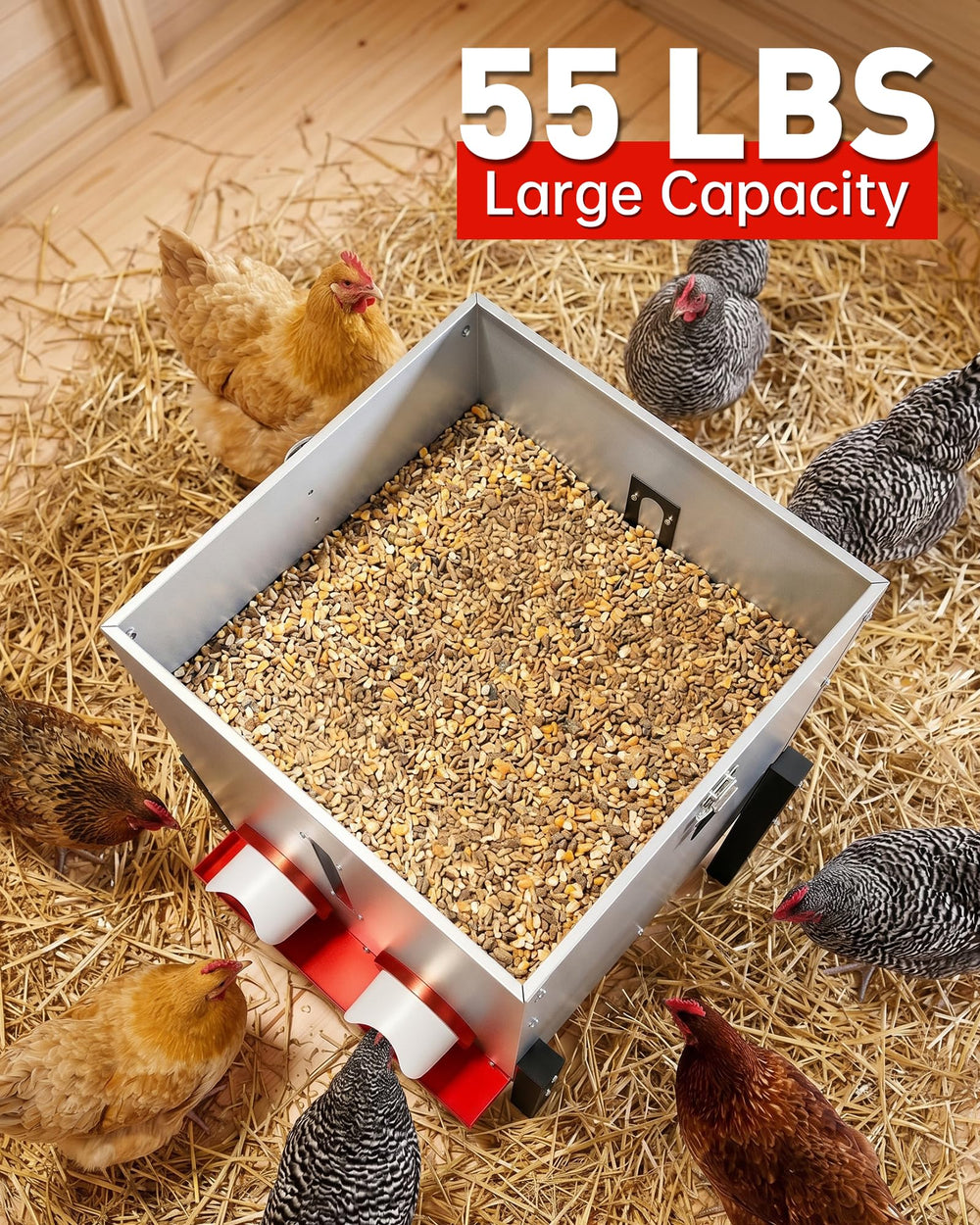 PETDOTT close-up of four feeding ports enabling multiple birds to eat