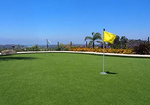 Petgrow golfer practicing putts showing convenient at-home training benefit