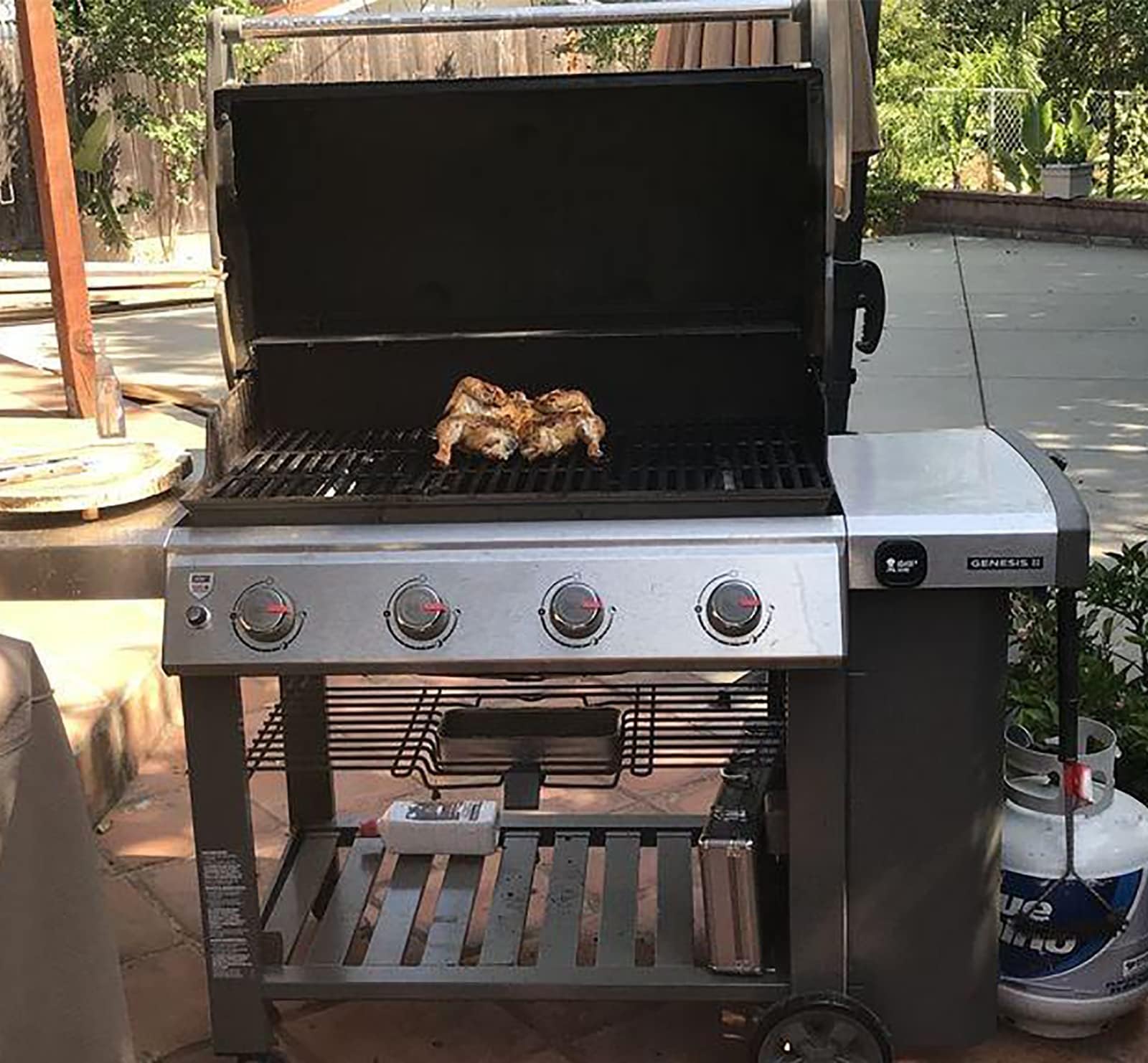 PETKAO dual-sided grate edges showing sear ridges and flat side for versatile cooking