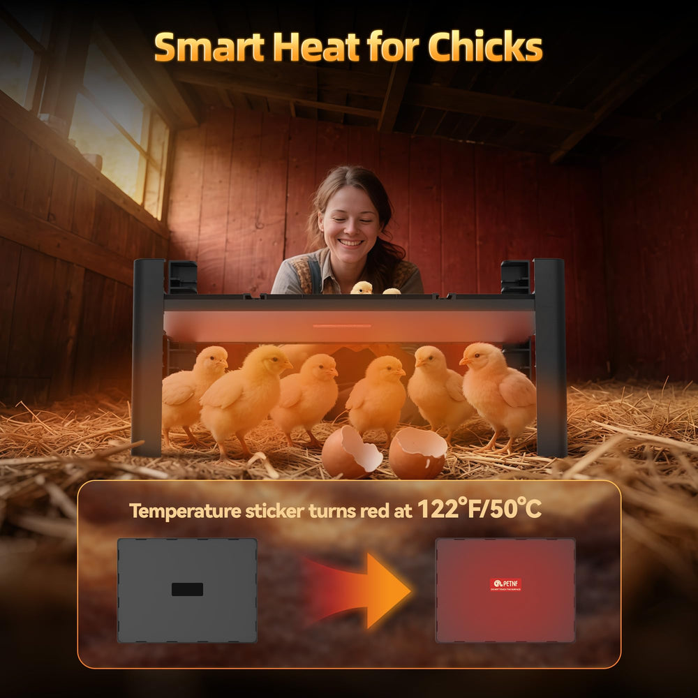 PETNF brooder plate with chicks underneath demonstrating even warmth distribution