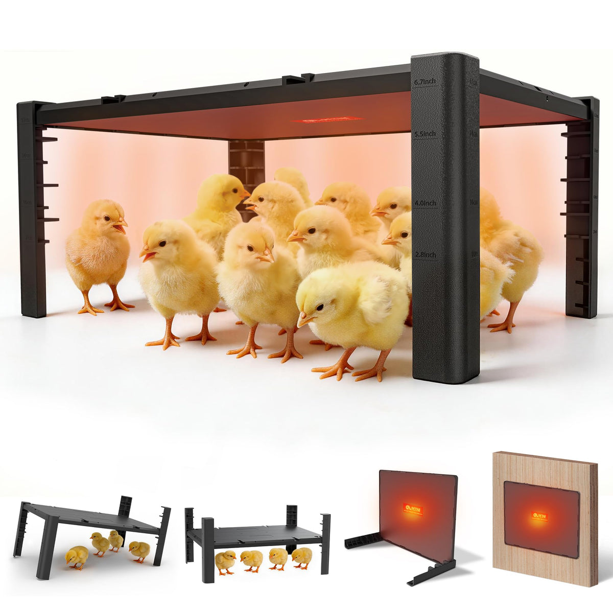PETNF brooder plate front view showing wide warming surface and stable base