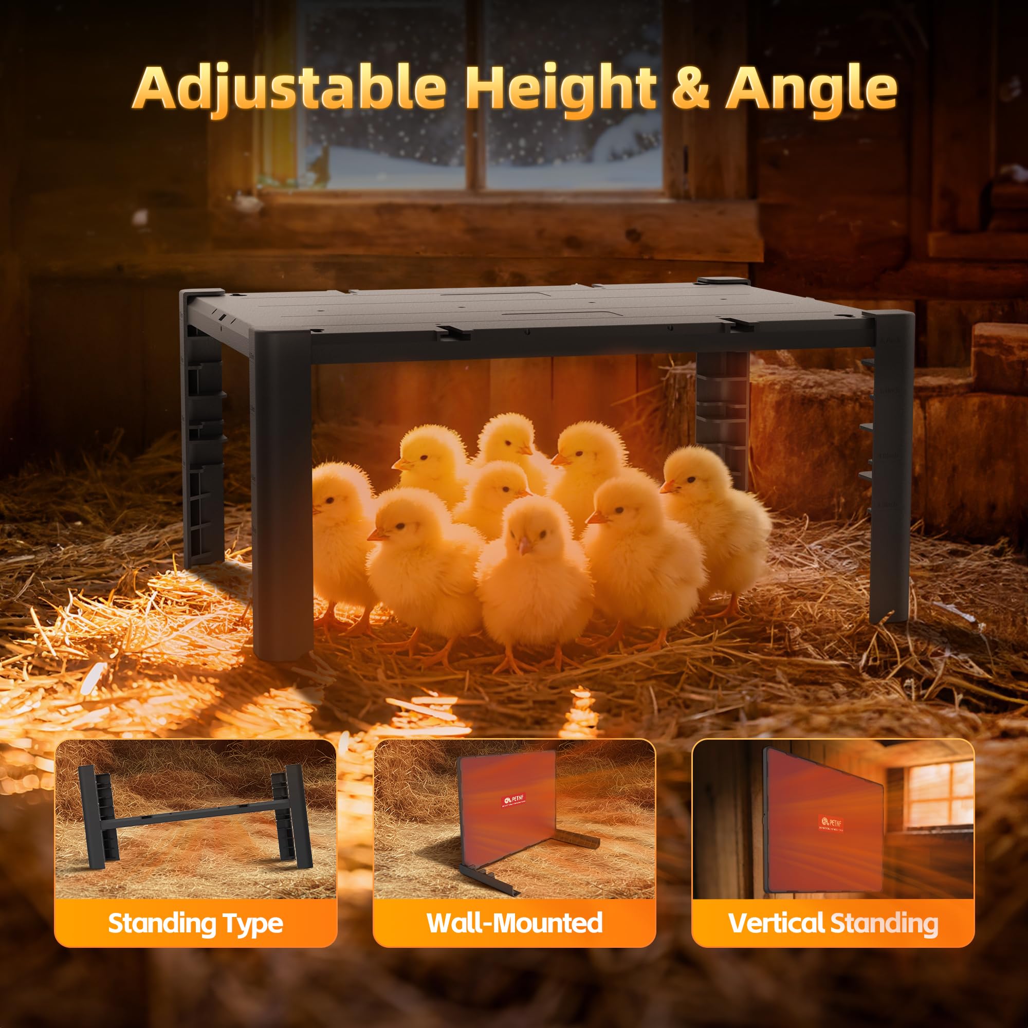 PETNF brooder plate beside a ruler showing height comparison for growth stages