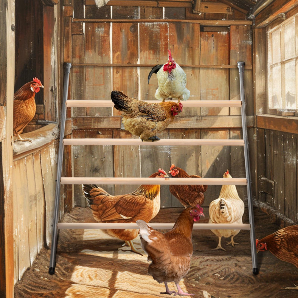 Petsfit chickens perched comfortably at night showing improved stability and rest