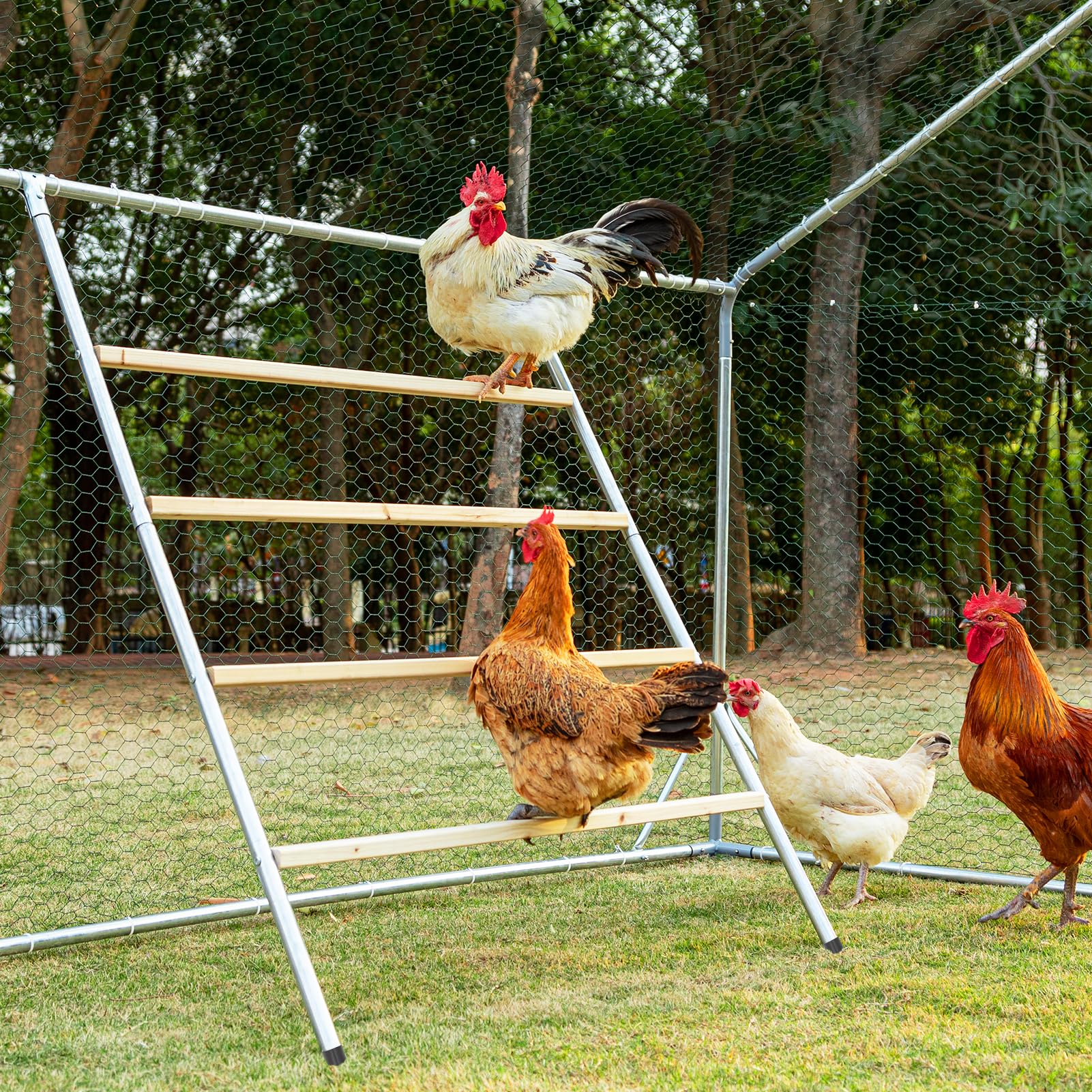 Petsfit front view of square roost showing stable multi-level design benefits