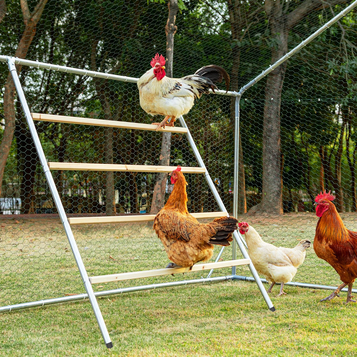 Petsfit front view of square roost showing stable multi-level design benefits