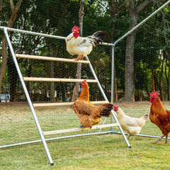 Petsfit front view of square roost showing stable multi-level design benefits