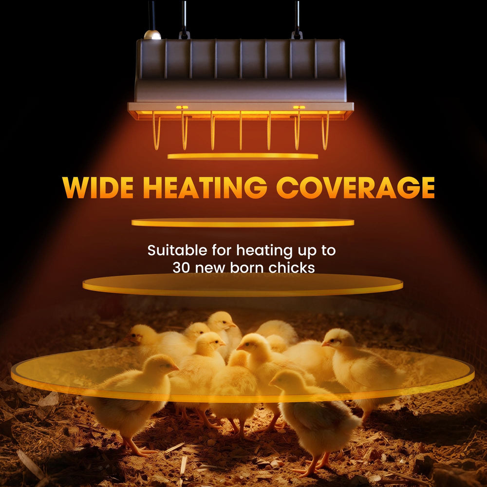 PETSOLON lamp adjusted at different heights to control heat radius
