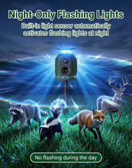 PEXPEL LED flash in action disrupting nocturnal animal behavior for protection
