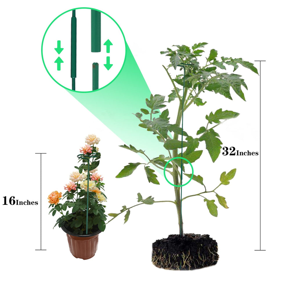 PFNRTH single 16-inch stake in a pot giving neat upright plant support