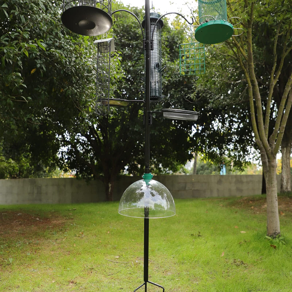 PFNRTH baffle in a backyard setting protecting multiple feeders and improving bird viewing