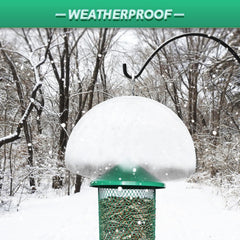 PFNRTH hanging feeder setup with dome protecting seed from theft and rain