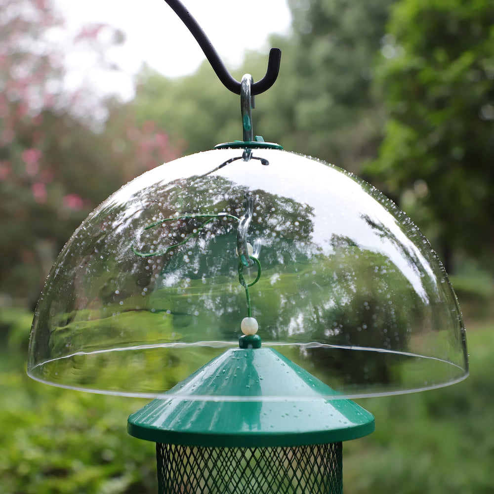 PFNRTH lifestyle backyard scene showing bird feeder protected and birds feeding