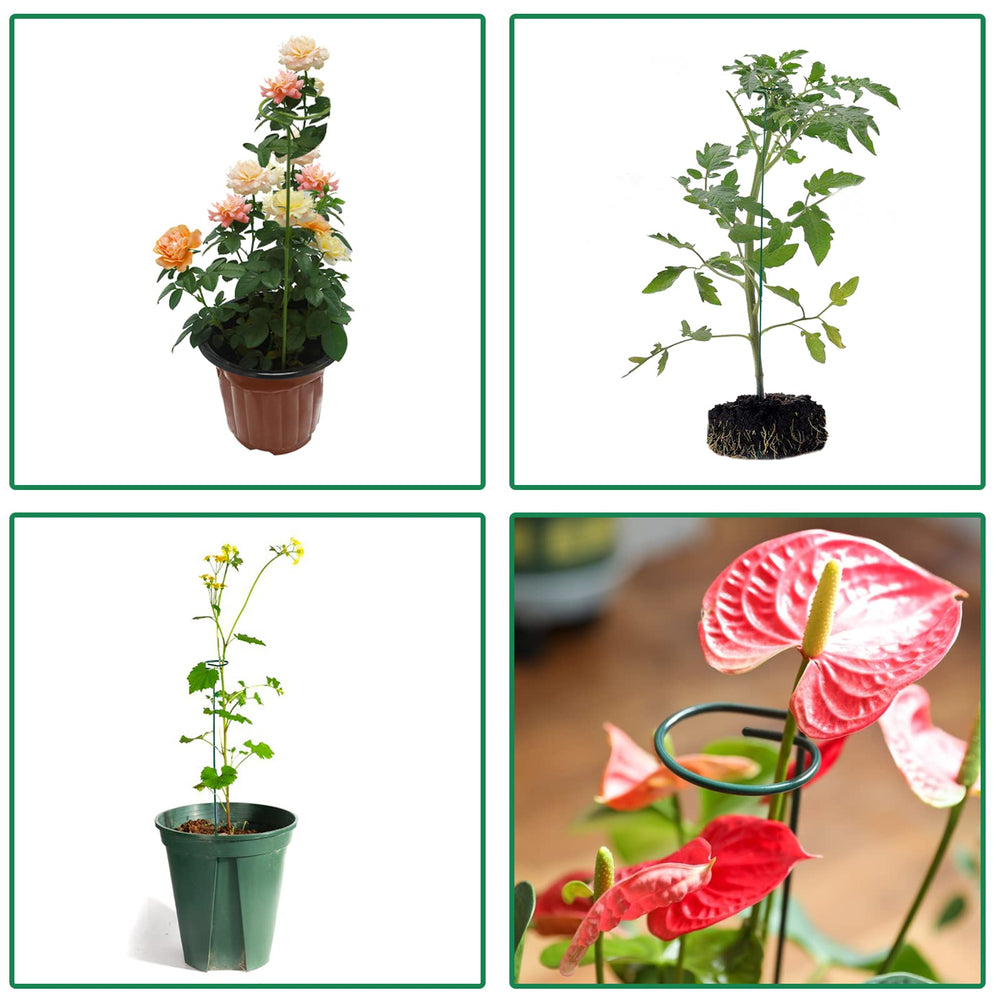 PFNRTH stakes used in balcony garden demonstrating space-saving tidy growth