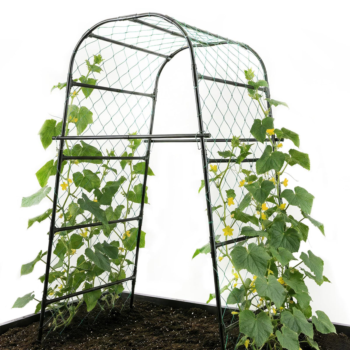 PHENEAHILL front view of arch showing sturdy framework and easy garden placement