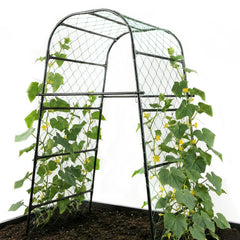 PHENEAHILL front view of arch showing sturdy framework and easy garden placement