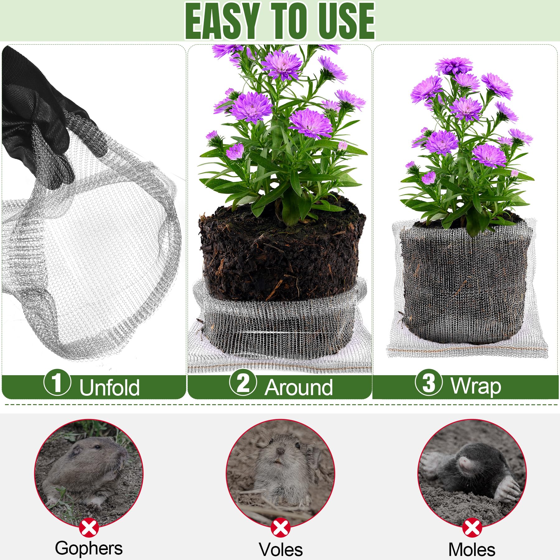phepetroll basket enclosing tubers showing root protection and soil access