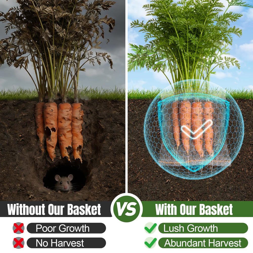 phepetroll gardener installing basket around a seedling protecting roots