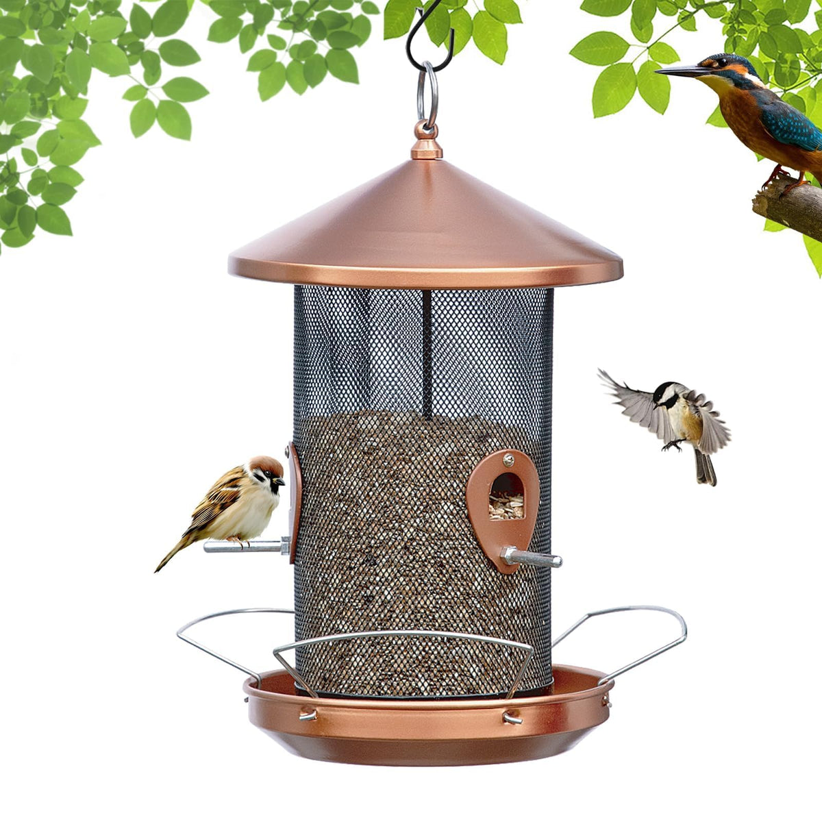 Philodwell front view showing large capacity feeder and sturdy tray benefit attracting more birds