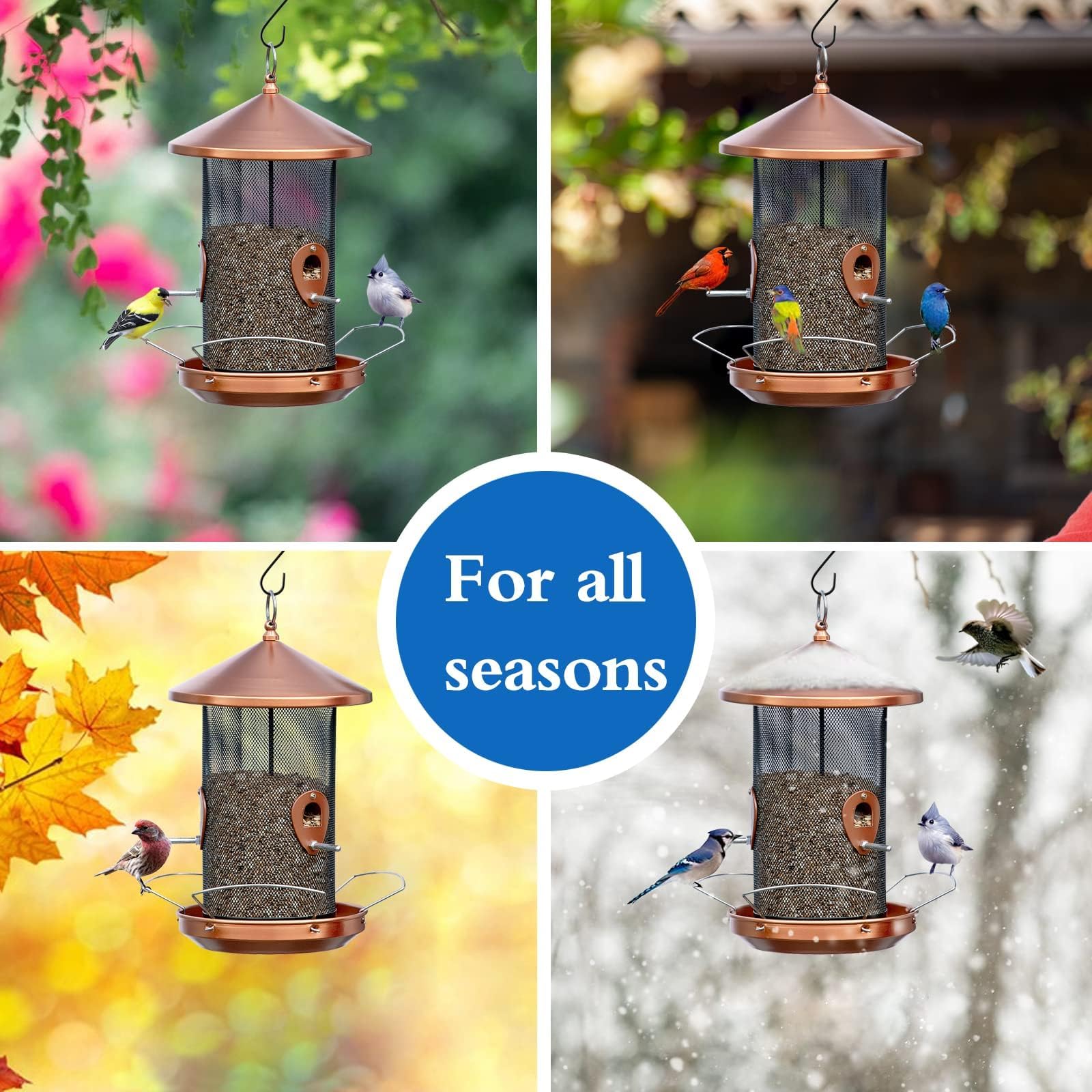 Philodwell feeder in use with cardinal and chickadee showing bird-attracting performance benefit