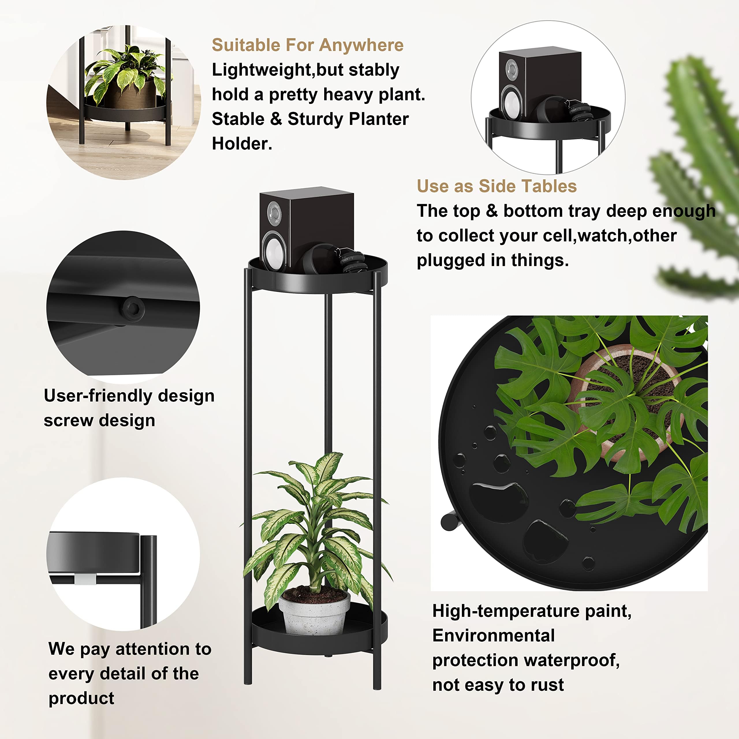Philodwell beside a common pot showing scale and fit for medium planters