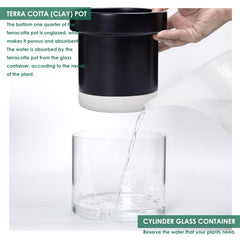Phoenix Vine glass reservoir visible under pot for easy refills and reduced watering