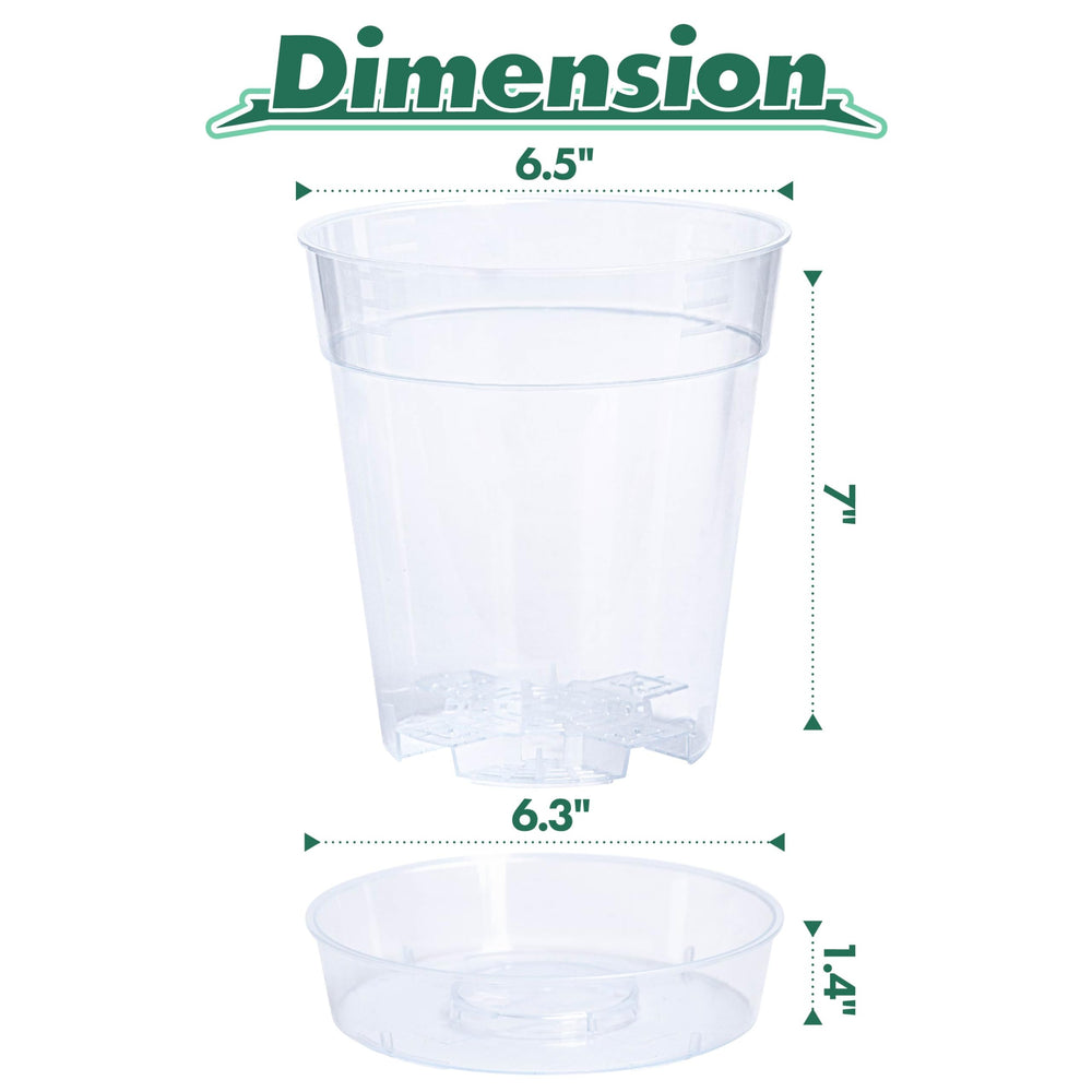 Phoenix Vine detached deep saucer for bottom watering and clean surfaces