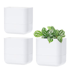 Phoenix Vine front view of set of three planters showing modern look and space-saving benefit