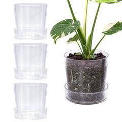 Phoenix Vine front view clear acrylic planter shows sleek transparent design and benefit