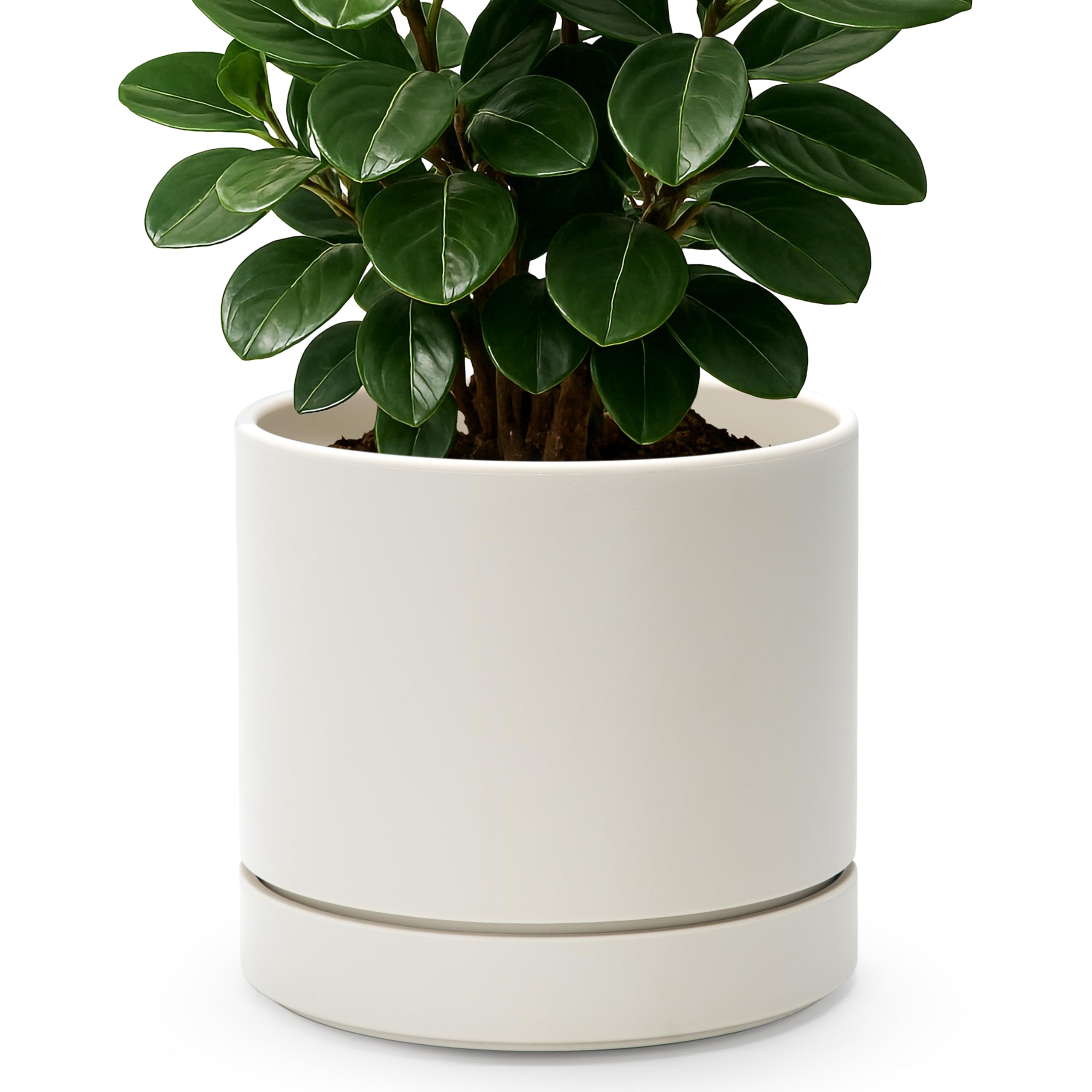 Phoenix Vine front view oatmeal 8-inch planter showing modern benefit of clean decor
