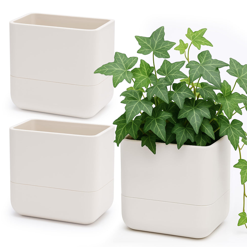 Phoenix Vine front view of three oatmeal planters showing space-saving display