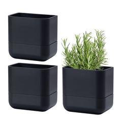 Phoenix Vine front view black three-pack showing space-saving display