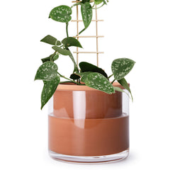 Phoenix Vine front view of terracotta planter showing clean modern silhouette and benefit of low-maintenance watering