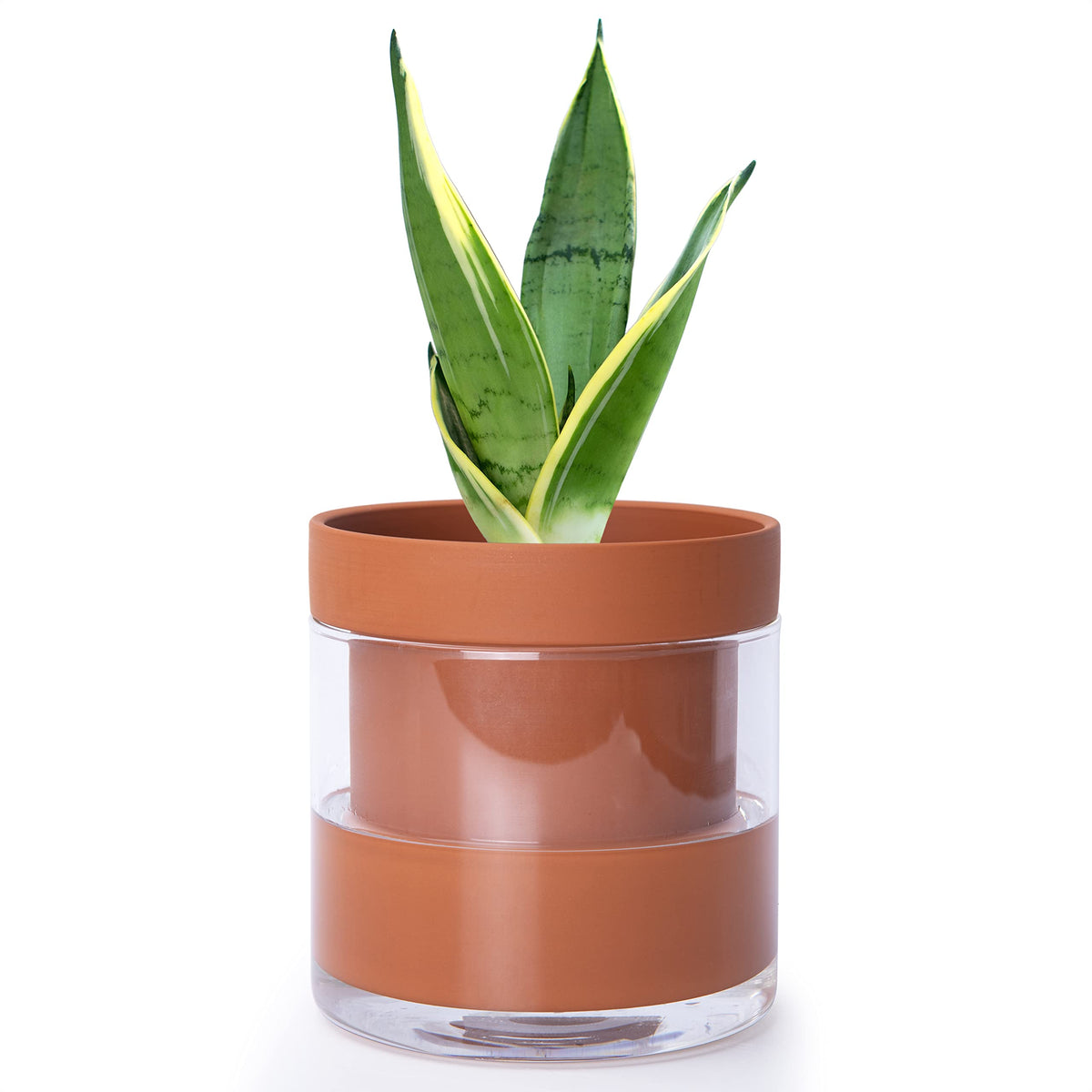 Phoenix Vine front view terracotta planter showing clean shape and decor benefit