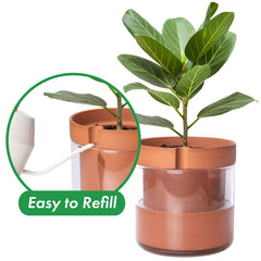 Phoenix Vine glass reservoir detail showing clear refill level and convenient maintenance