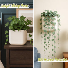Phoenix Vine in-use on kitchen sill with herbs providing easy access and style