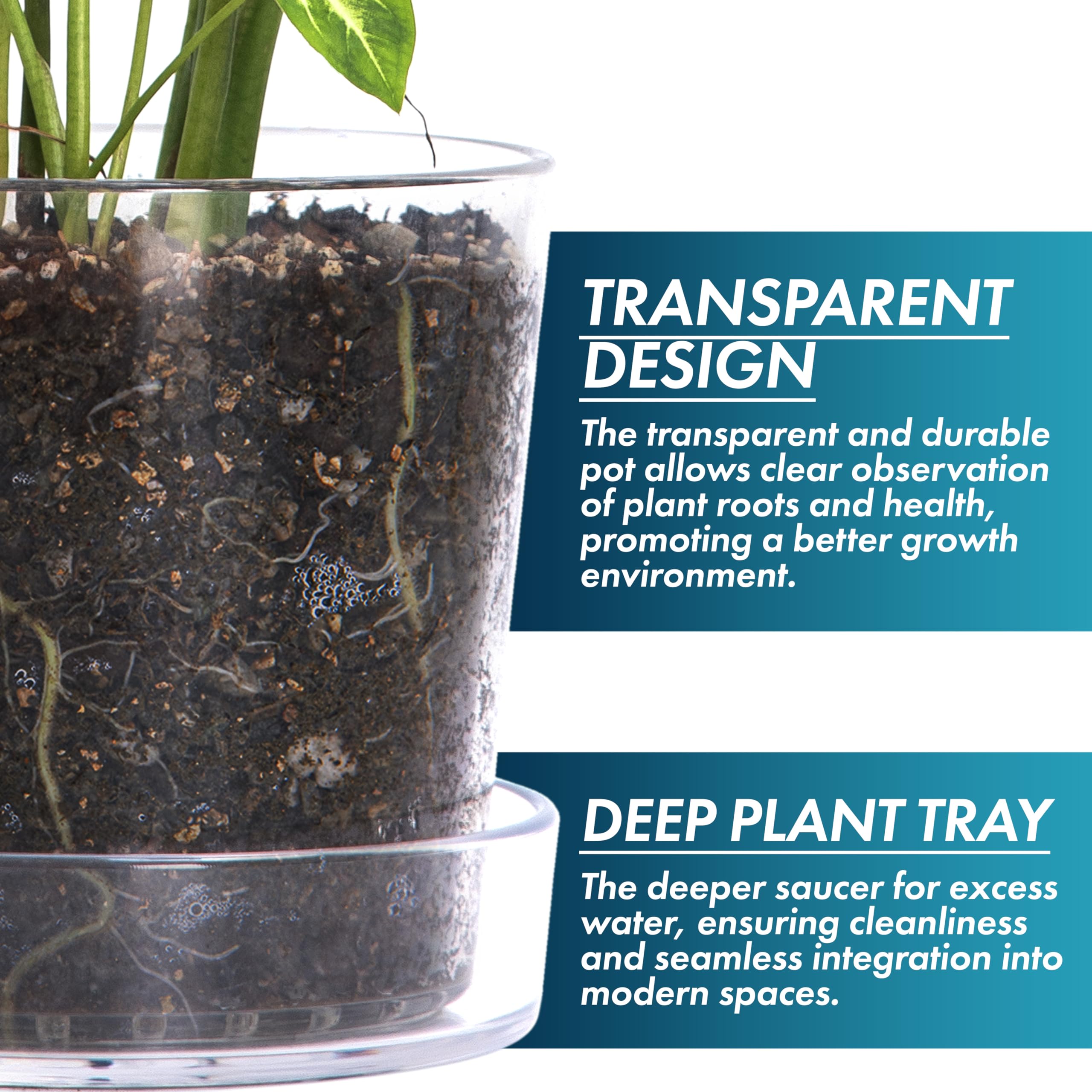 Phoenix Vine pot holding an orchid on a windowsill, enables root visibility and light