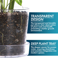 Phoenix Vine pot holding an orchid on a windowsill, enables root visibility and light