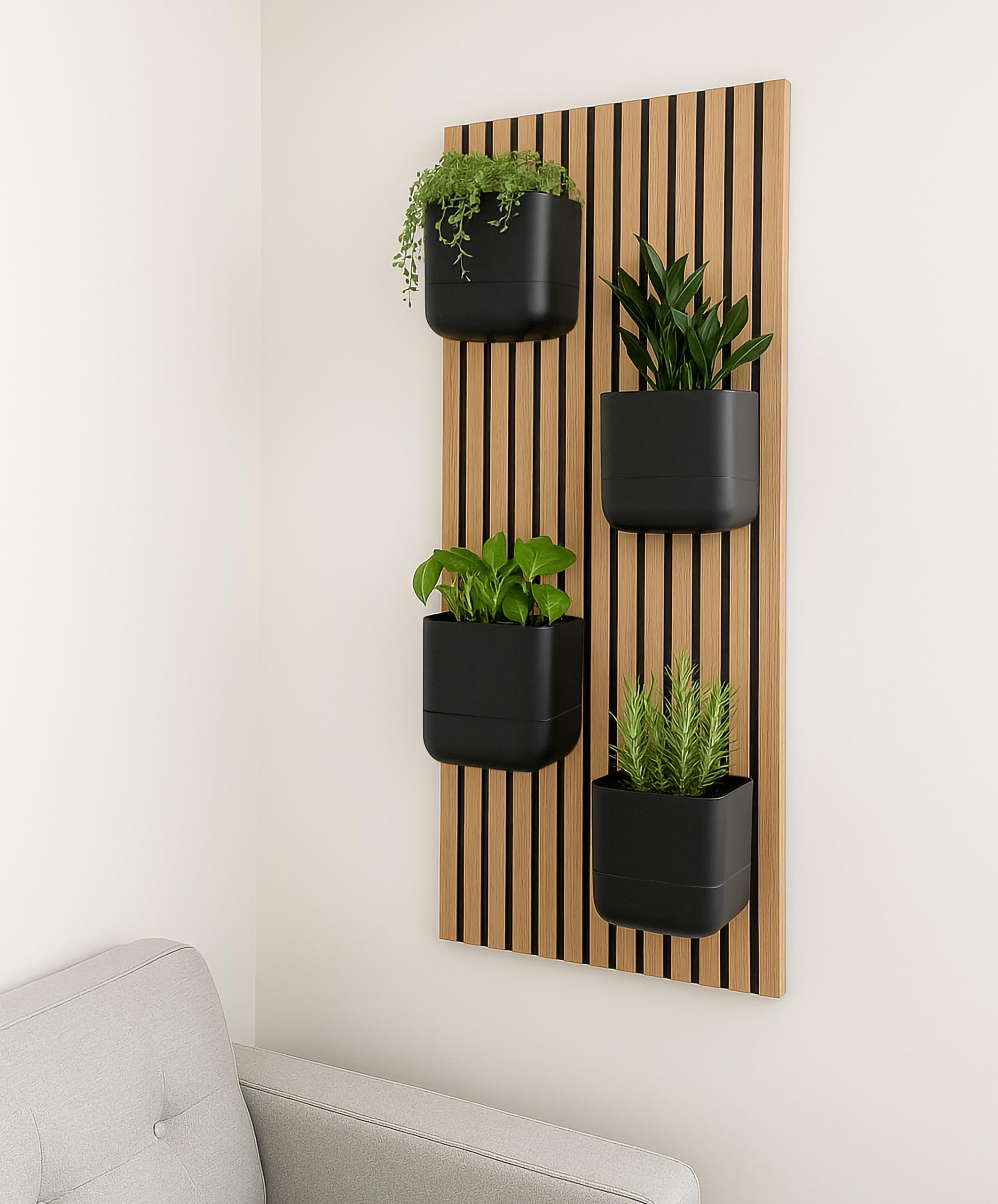 Phoenix Vine with small houseplants demonstrating compact planting