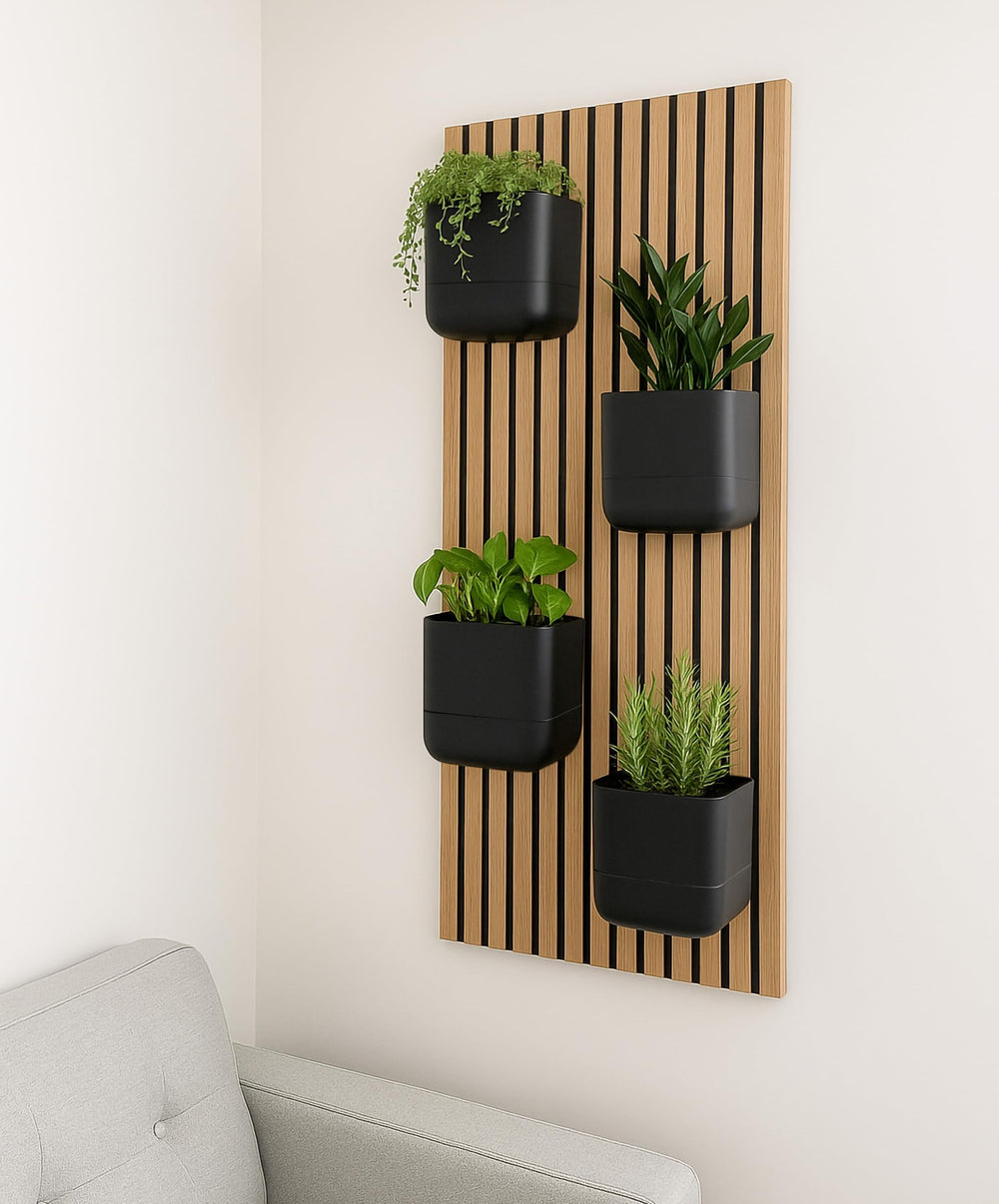 Phoenix Vine with small houseplants demonstrating compact planting